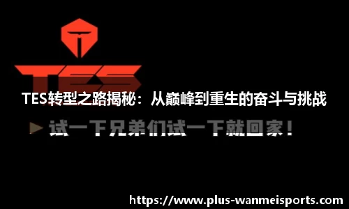 完美体育登录入口